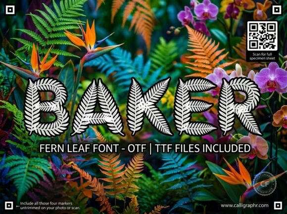 Baker: The Avant-Garde Font for Unforgettable Branding